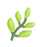 Natural Wood Icon Natural Wood Icon